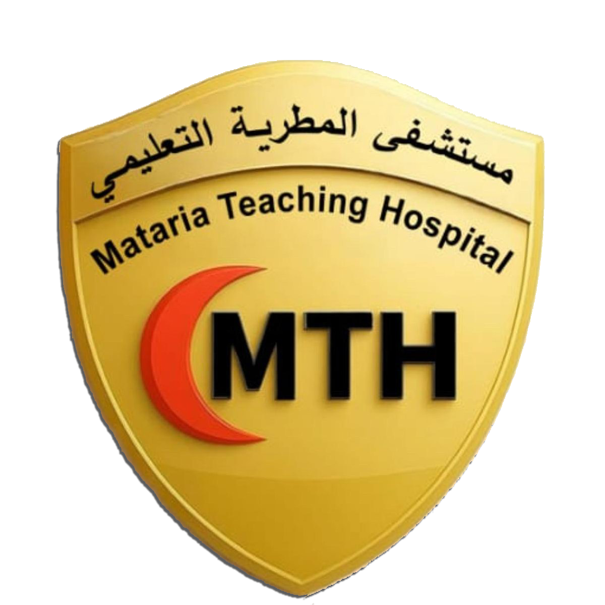 الهيئة العامة للمستشفيات والمعاهد التعليمية