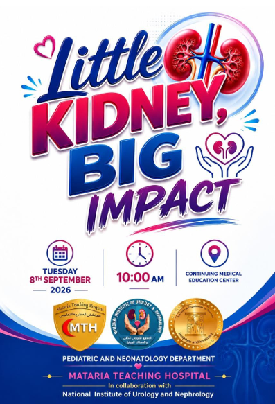 Little kidney : Big impact workshop